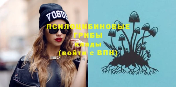 стаф Надым