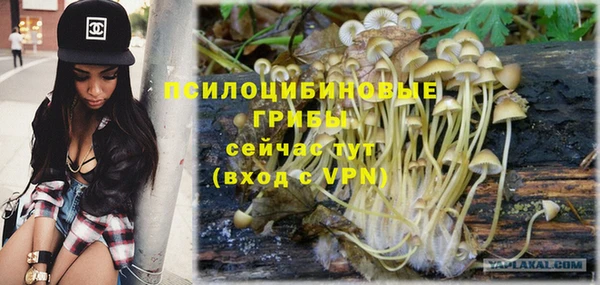 гидра Арсеньев