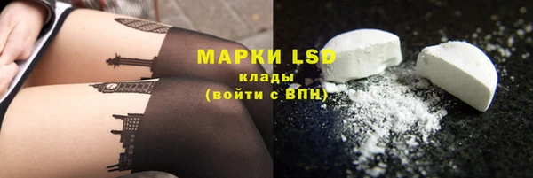 ГАЛЛЮЦИНОГЕННЫЕ ГРИБЫ Аркадак