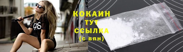 ГАЛЛЮЦИНОГЕННЫЕ ГРИБЫ Аркадак
