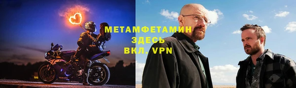 ГАЛЛЮЦИНОГЕННЫЕ ГРИБЫ Аркадак