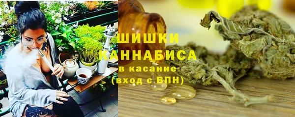 гидра Арсеньев