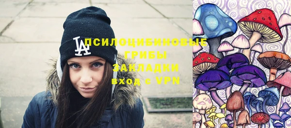 гидра Арсеньев