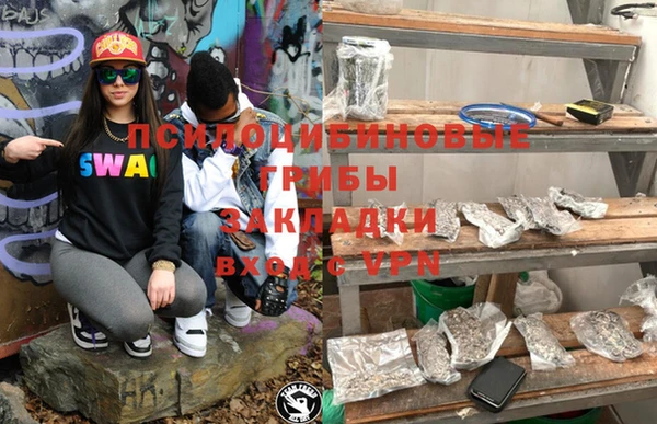 гидра Арсеньев