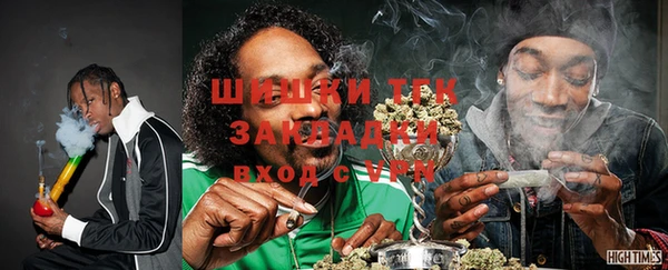 ГАЛЛЮЦИНОГЕННЫЕ ГРИБЫ Аркадак