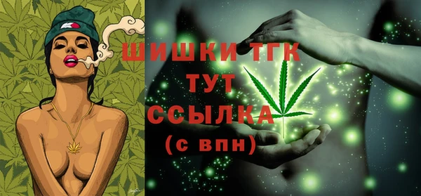 ГАЛЛЮЦИНОГЕННЫЕ ГРИБЫ Аркадак