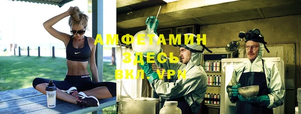 сатива Армянск